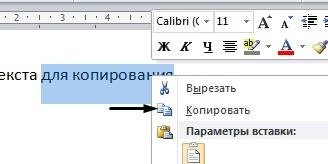 скопировать текст в Word